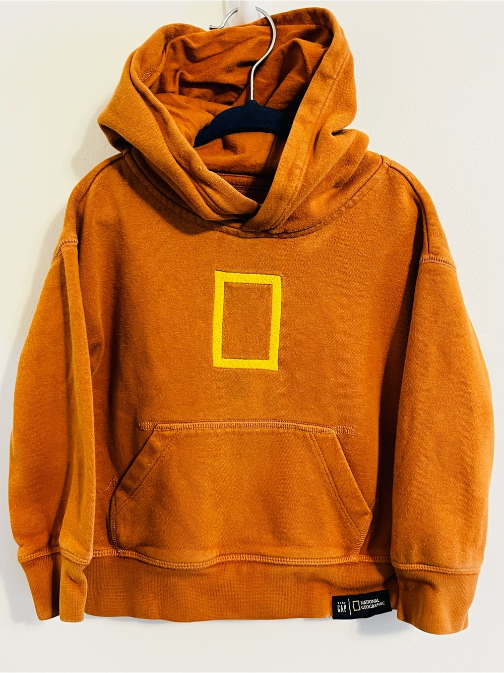 Baby Gap x National Geographic BE WILD Hoodie Sweatshirt Toddler Unisex Size 3